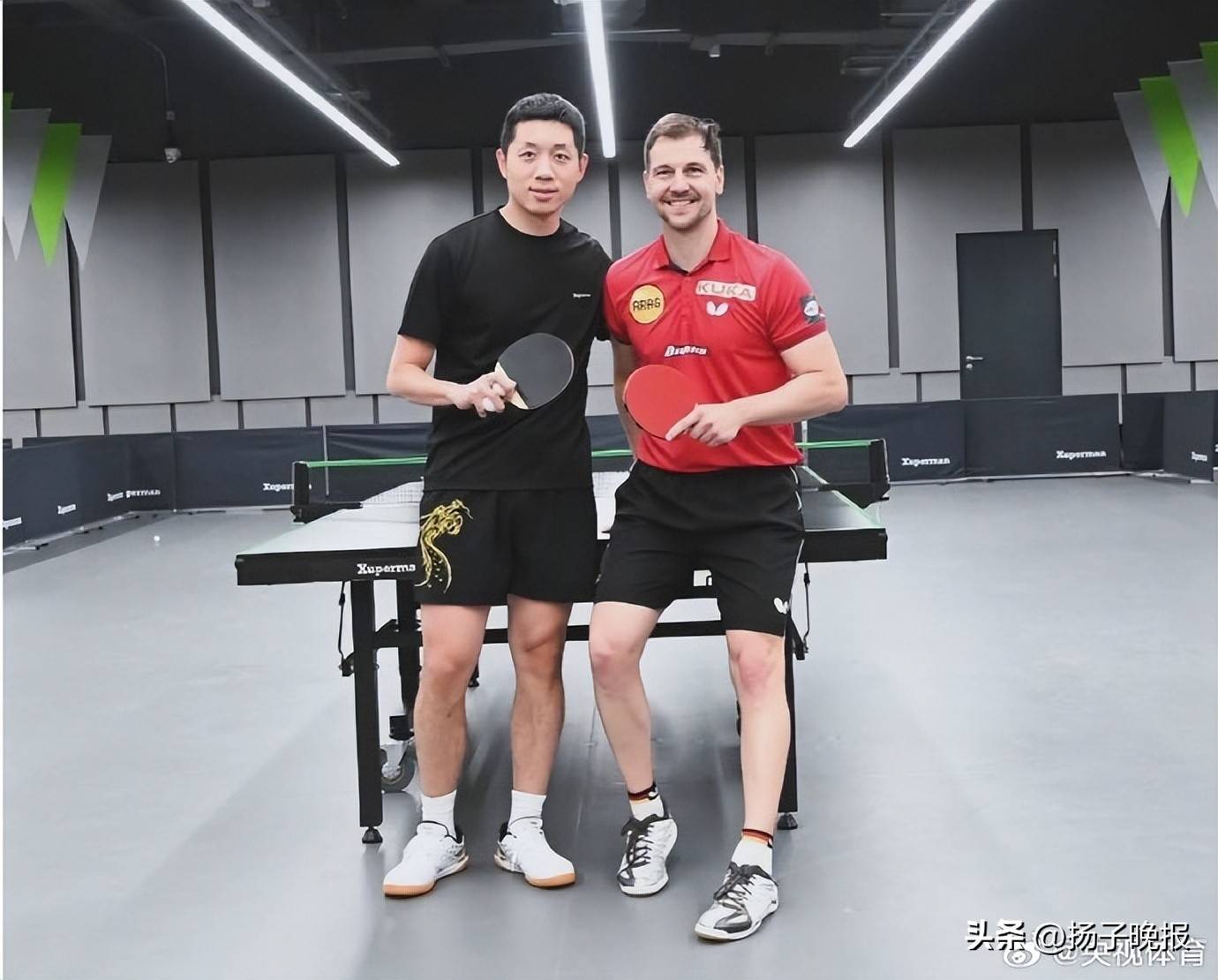 奥地利乒乓球队绝杀韩国乒乓球队，波尔统治全场的简单介绍