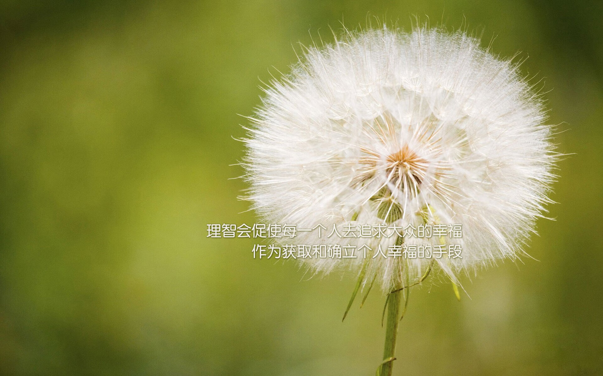 富安健洋的节奏魔方，解析马赛如何通过一位后卫的掌控力完成对美国式足球的颠覆