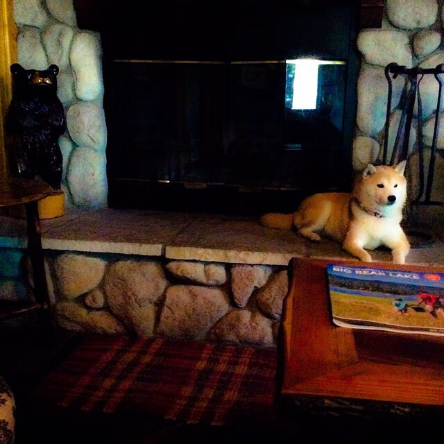 绝境铸传奇，戈麦斯生涯之夜定义年度焦点之战