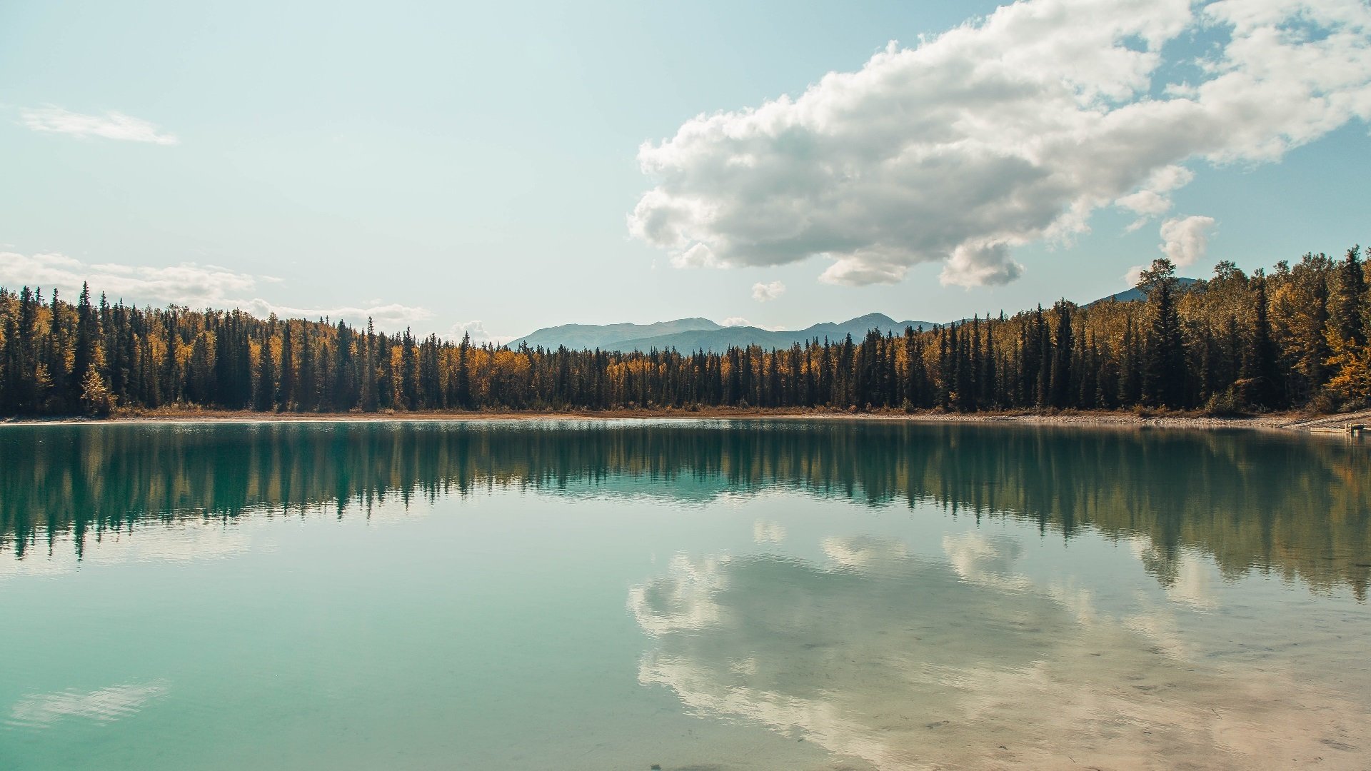 大漠哀歌与草原咆哮，2026美加墨世界杯小组赛史诗夜