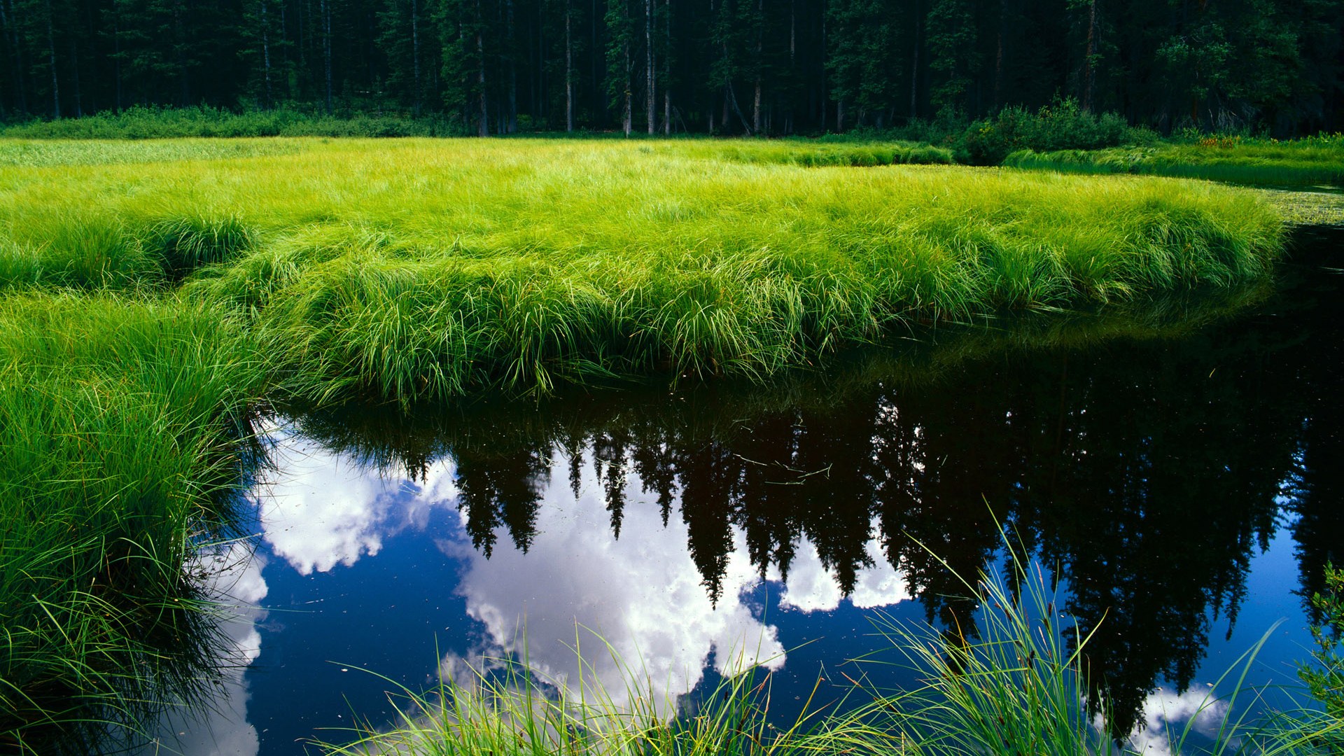开云下载-挪威鏖战AC米兰，克瓦拉茨赫利亚的关键先生时刻