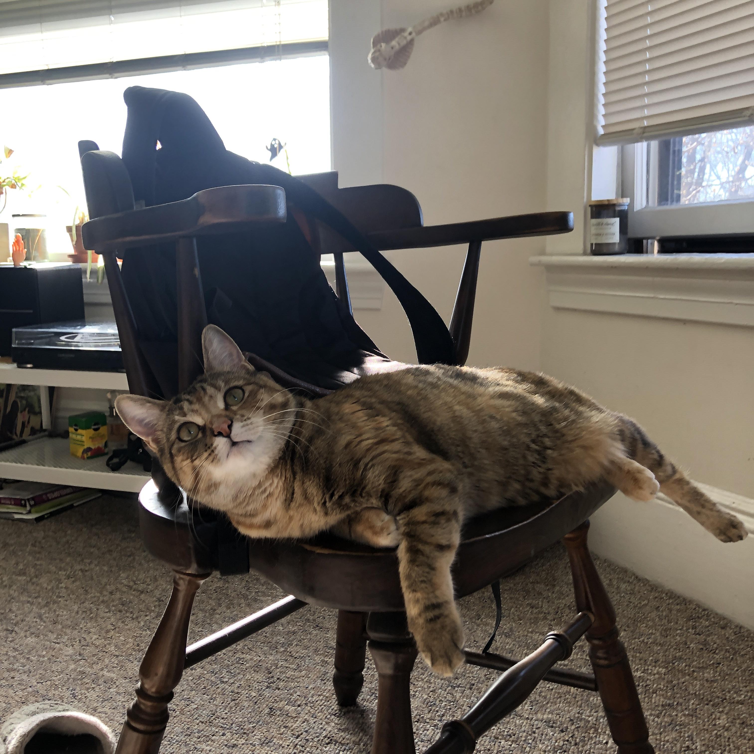 F1街道赛焦点战，韩国车手绝杀希腊对手，街道上的速度与激情