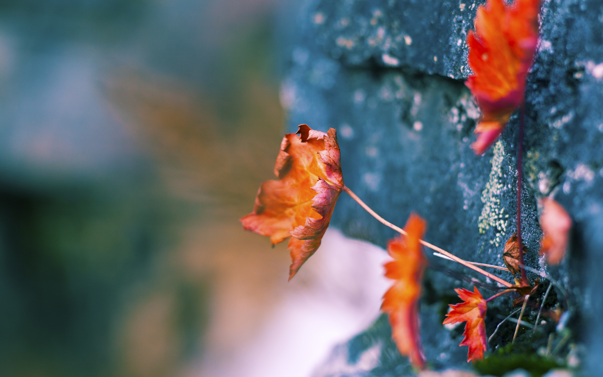 快船掀起进攻海啸,戈贝尔用防守划定西决生死线