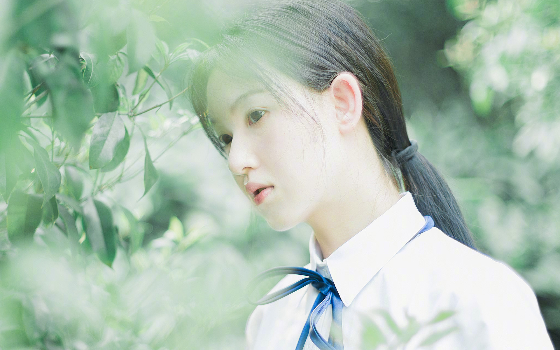 范弗利特救赎之夜，一记价值连城的巨星证明