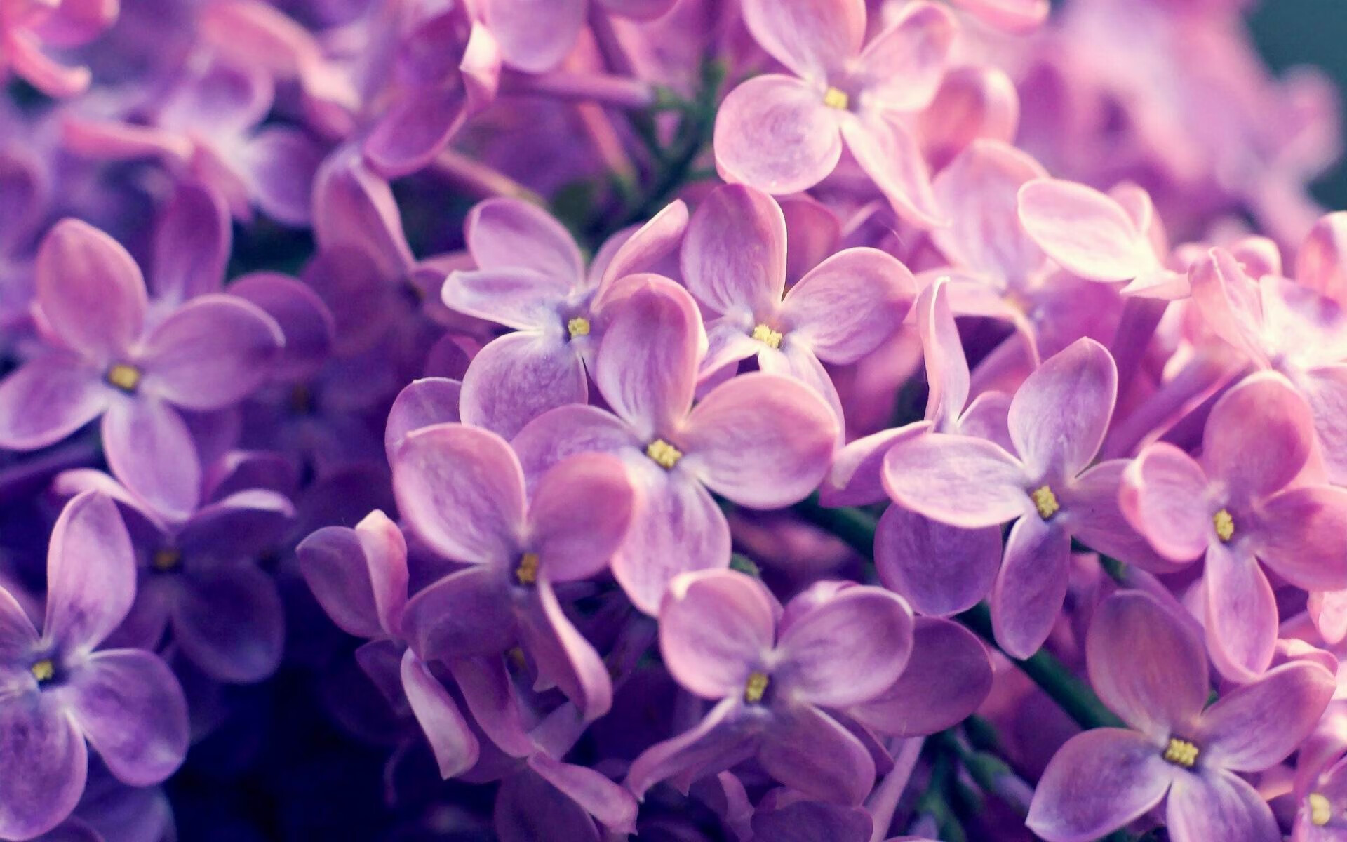 铜墙铁壁!马克西窒息防守锁死对手 魔术争冠战攻克热火主场