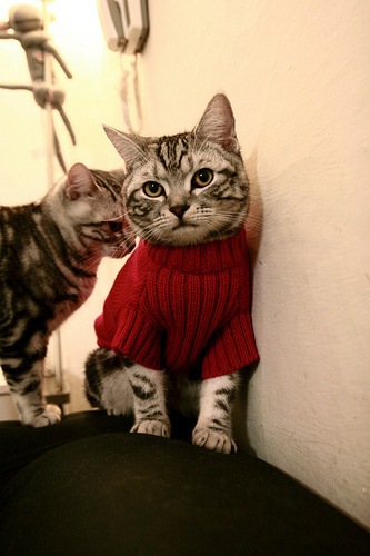 东决锁链，霍勒迪关键战夜，用防守为球队钉上胜局