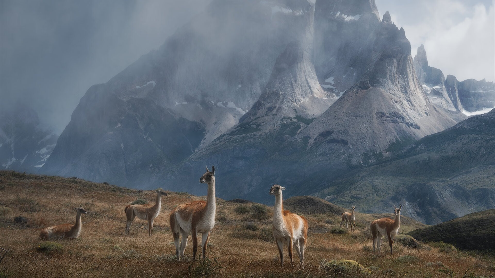 姆巴佩的实力证明，从瑞典对阵澳大利亚看足球巨星的光芒