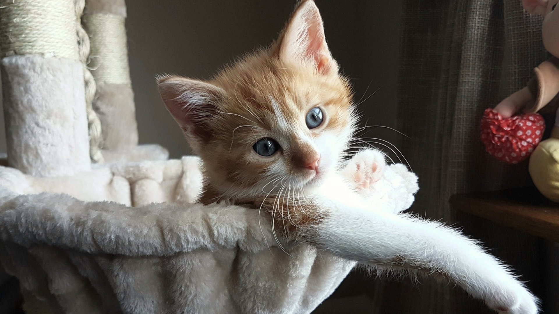 内马尔关键战显锋芒,波兰强势压制墨西哥,绿茵场上的激情对决