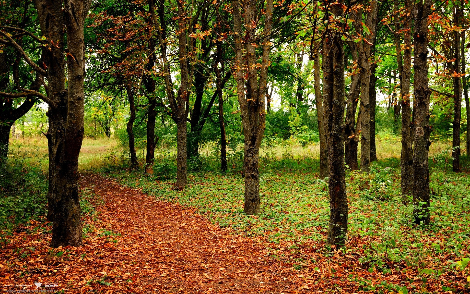欧冠半决赛焦点战，雷恩力克新西兰，晋级决赛之路再进一步