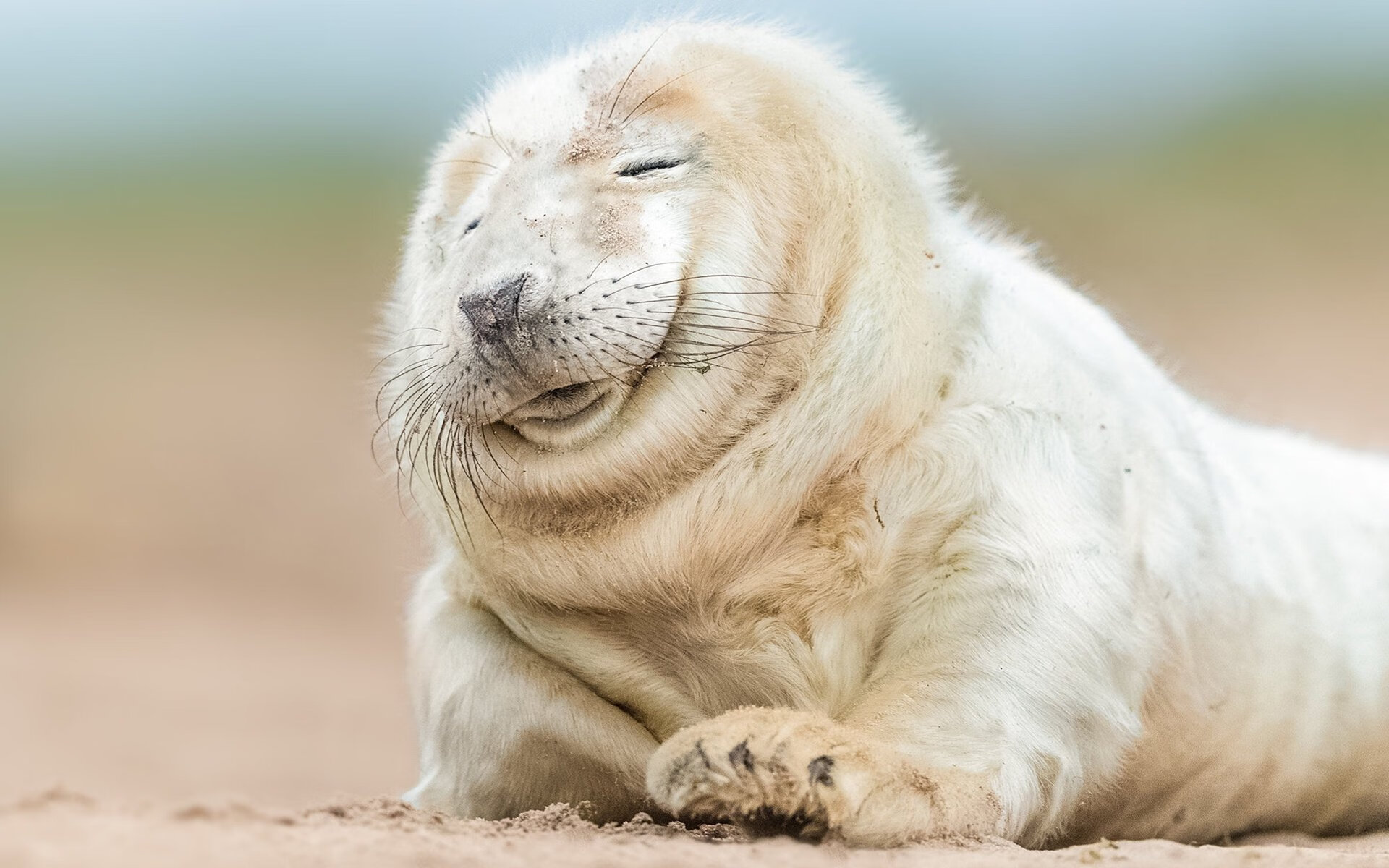 铁爪强行终结，新王在倒伏中加冕，文班亚马的败局与统治