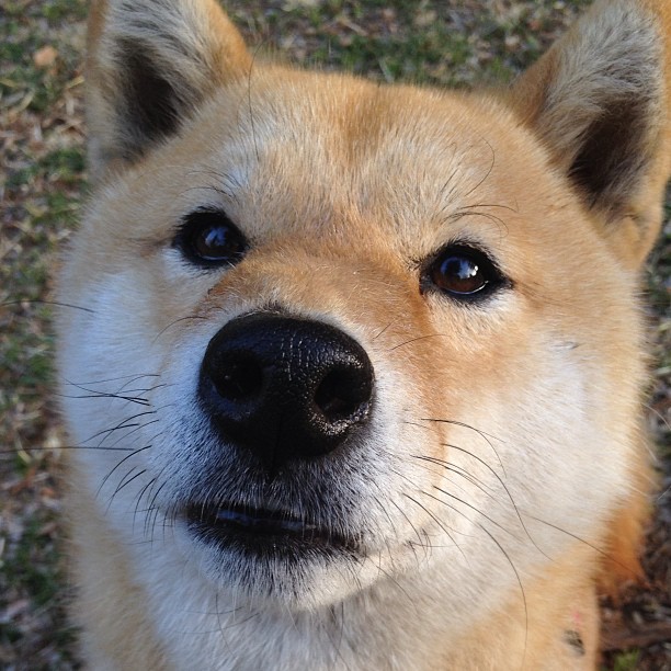 绝命三分定乾坤,委内瑞拉生死时刻绝杀乌克兰