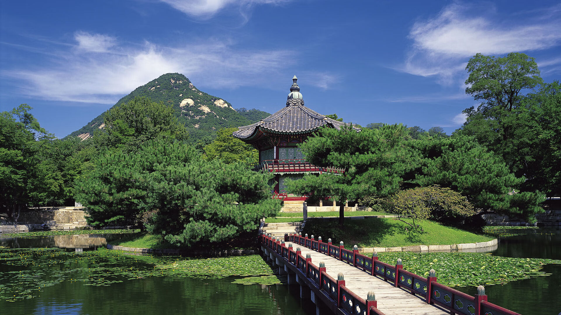 奇才的汗水与库里的光芒,当团队坚守遇见英雄主义