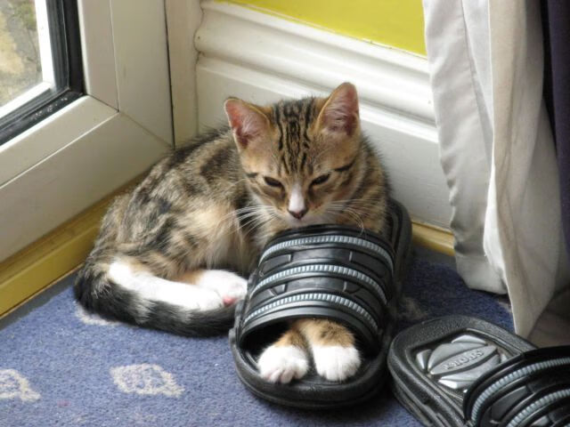 拉文末节狂飙拯救火箭，休城新王诞生夜太阳黯然坠落