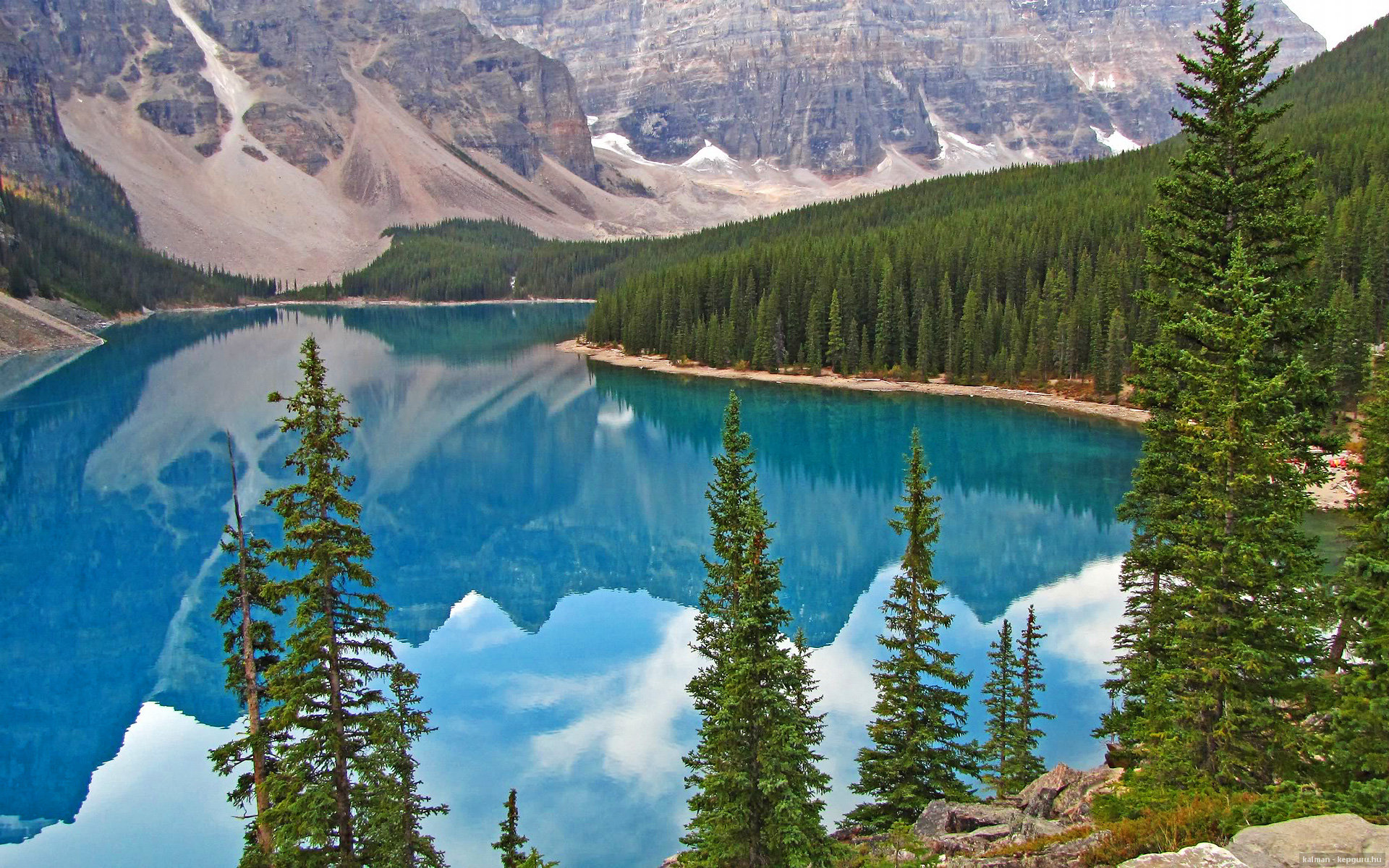 压制级掌控！布鲁诺导演欧冠史诗夜